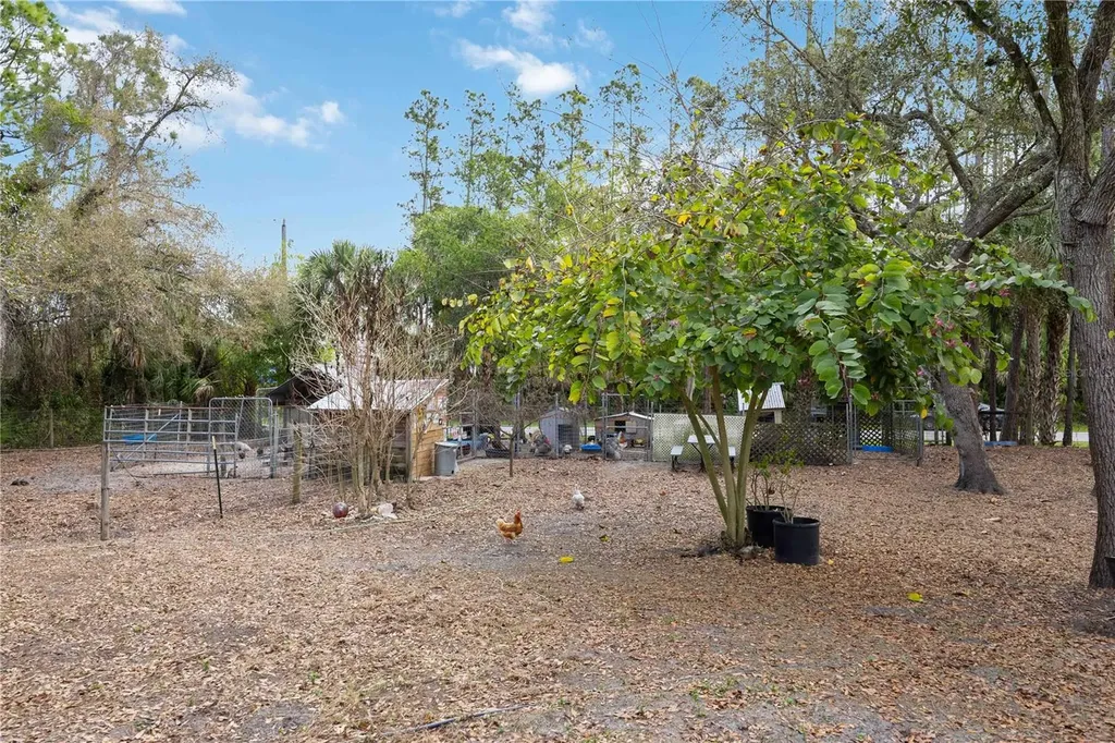 6649 Pimlico Street North Port FL 34291