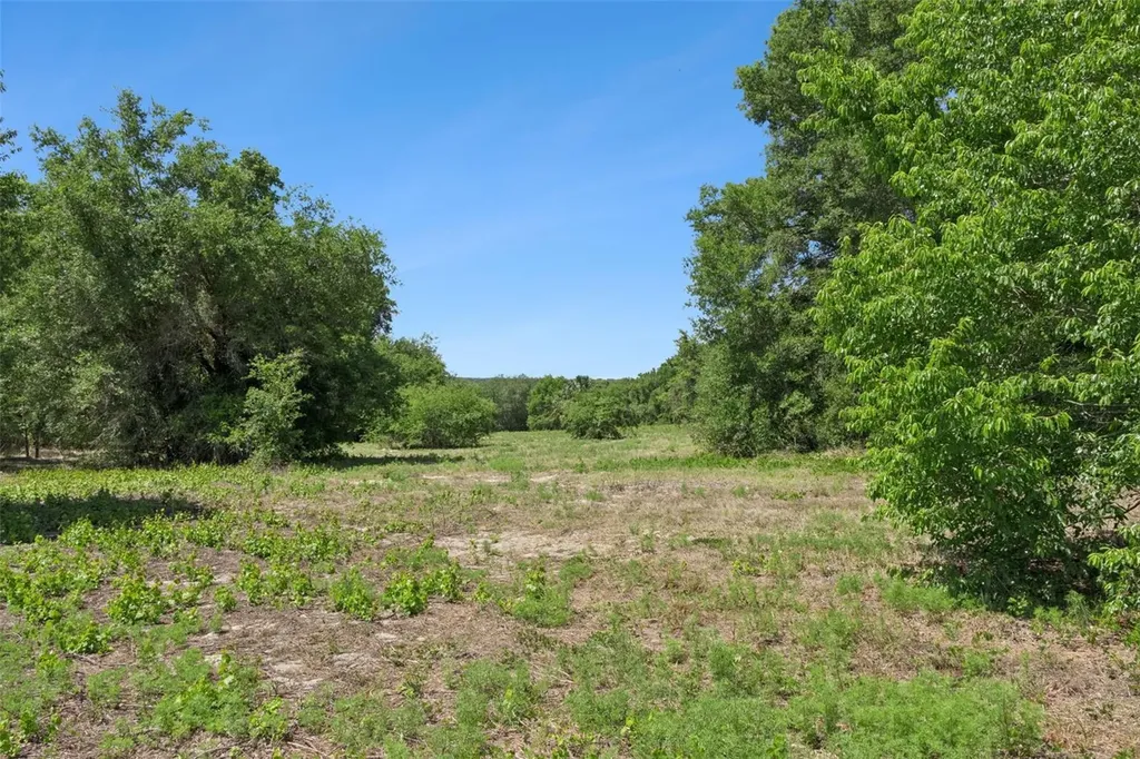0000 Bertsville & Griffin View Road Lady Lake FL 32159