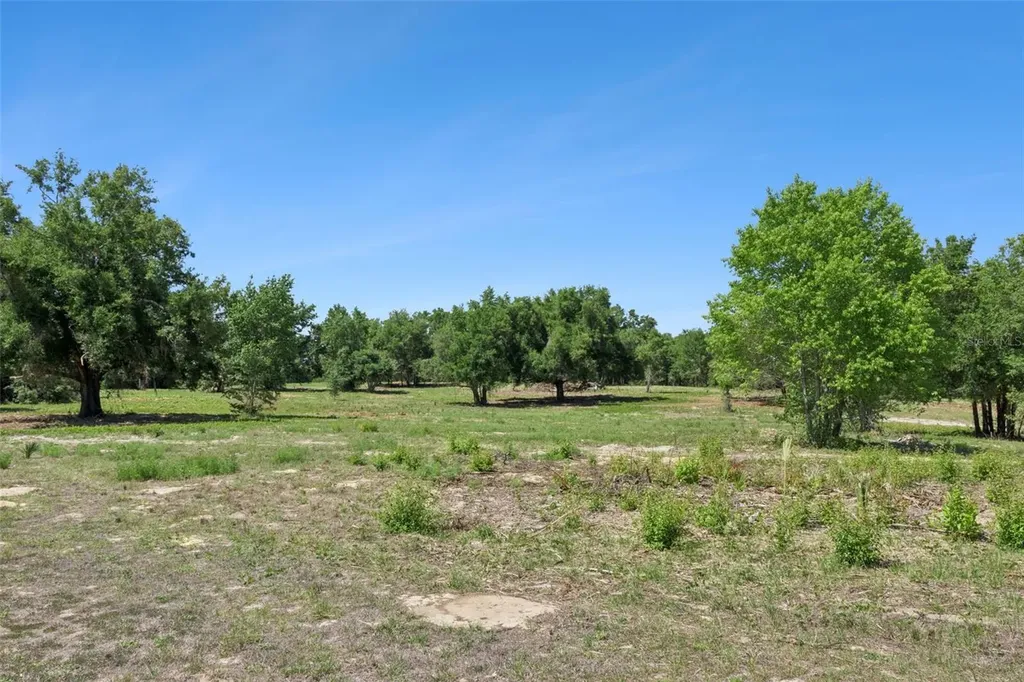 0000 Bertsville & Griffin View Road Lady Lake FL 32159