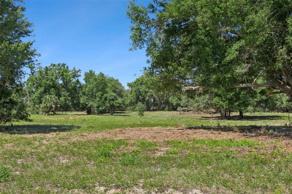 0000 Bertsville & Griffin View Road Lady Lake FL 32159