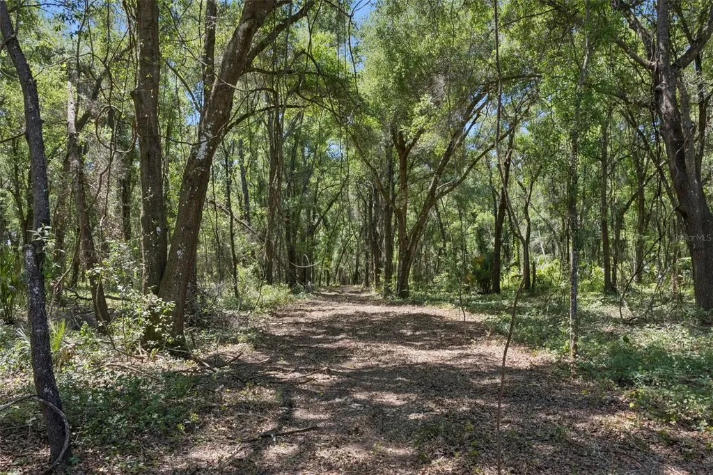 0000 Bertsville & Griffin View Road Lady Lake FL 32159