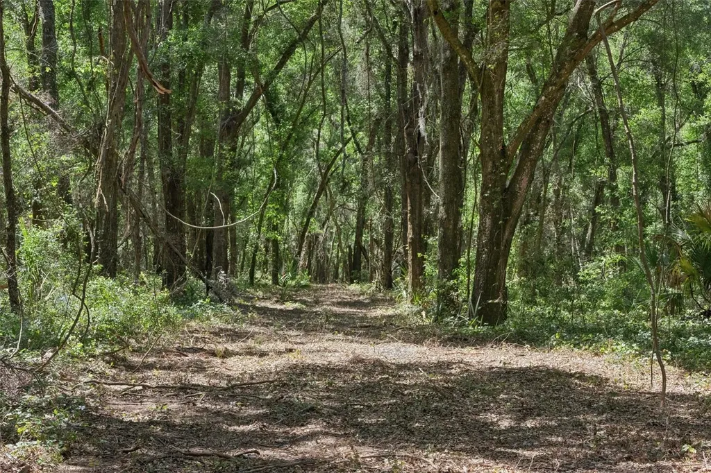 0000 Bertsville & Griffin View Road Lady Lake FL 32159