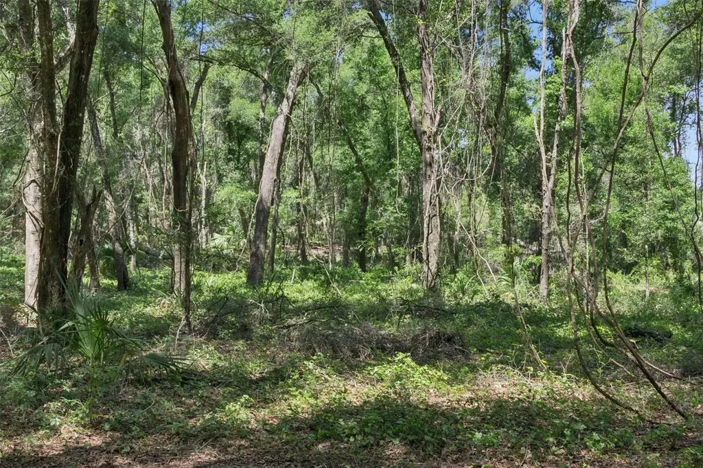 0000 Bertsville & Griffin View Road Lady Lake FL 32159