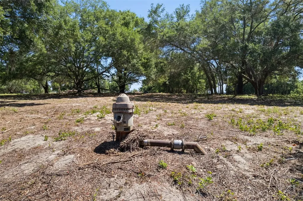 0000 Bertsville & Griffin View Road Lady Lake FL 32159