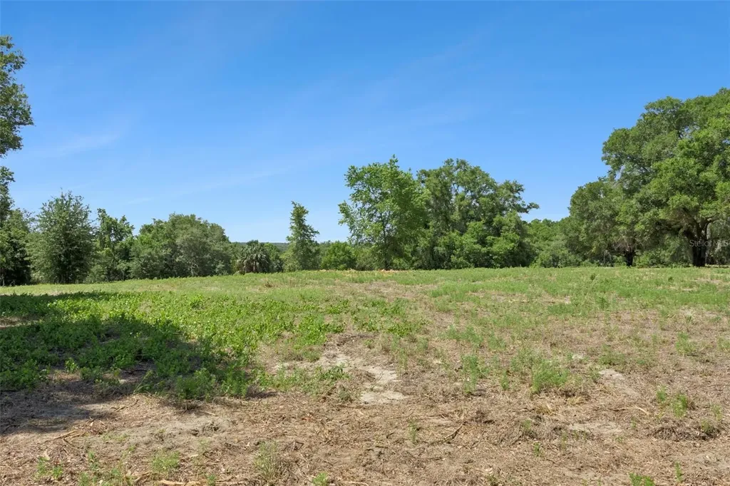 0000 Bertsville & Griffin View Road Lady Lake FL 32159