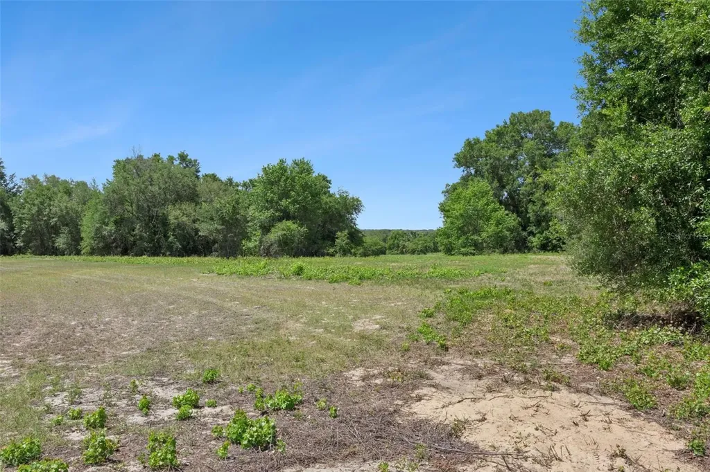 0000 Bertsville & Griffin View Road Lady Lake FL 32159