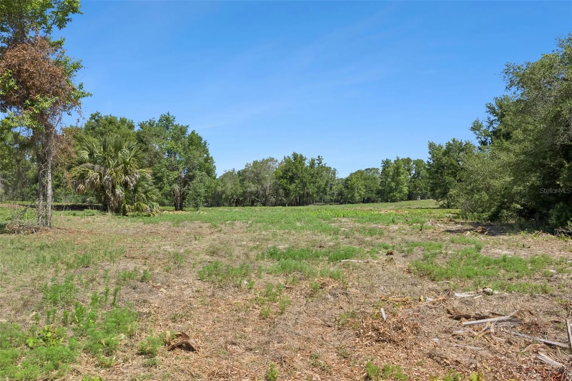 0000 Bertsville & Griffin View Road Lady Lake FL 32159