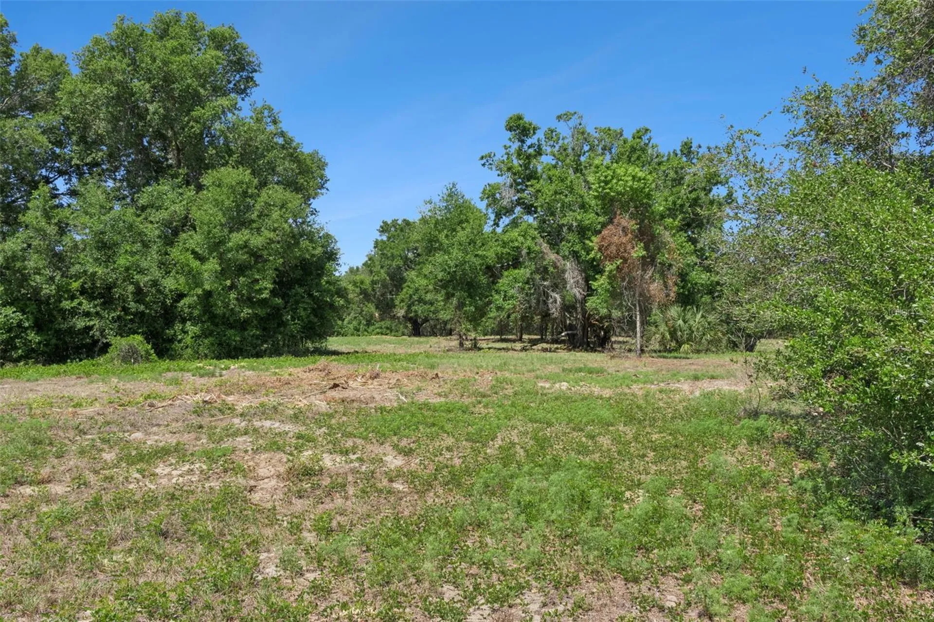 0000 Bertsville & Griffin View Road Lady Lake FL 32159