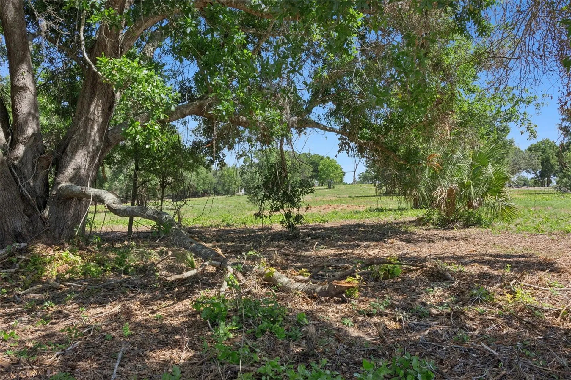 0000 Bertsville & Griffin View Road Lady Lake FL 32159
