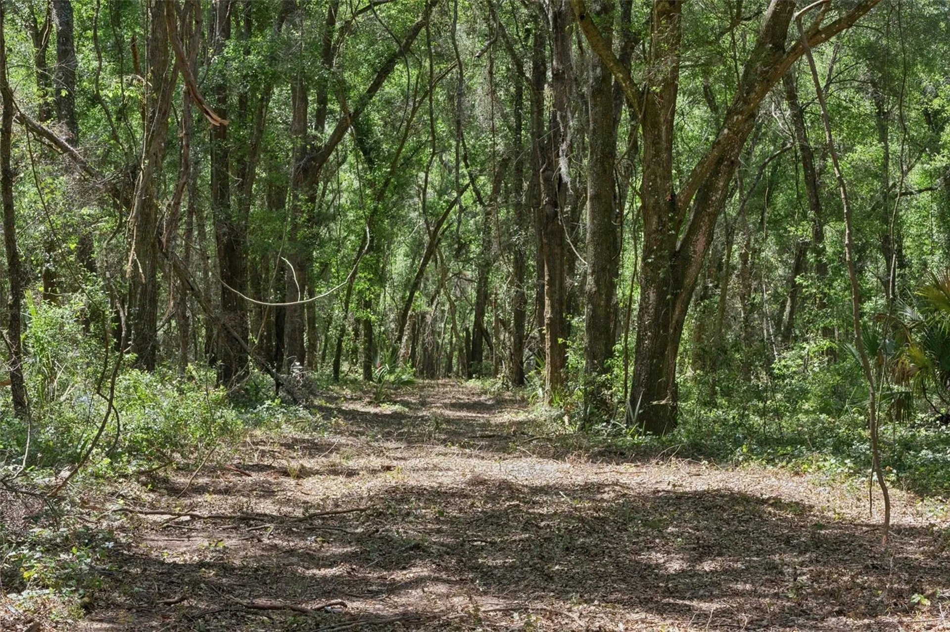 0000 Bertsville & Griffin View Road Lady Lake FL 32159