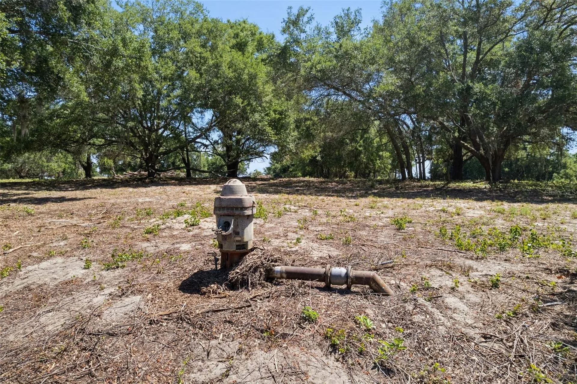 0000 Bertsville & Griffin View Road Lady Lake FL 32159