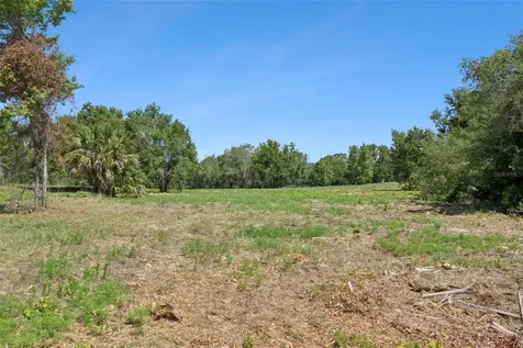0000 Bertsville & Griffin View Road Lady Lake FL 32159