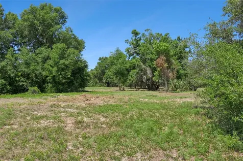 0000 Bertsville & Griffin View Road Lady Lake FL 32159