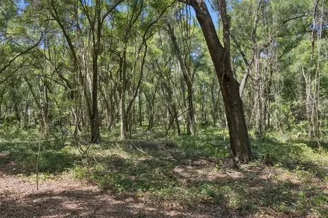 0000 Bertsville & Griffin View Road Lady Lake FL 32159