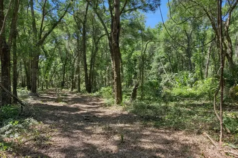0000 Bertsville & Griffin View Road Lady Lake FL 32159