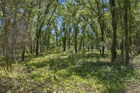 0000 Bertsville & Griffin View Road Lady Lake FL 32159