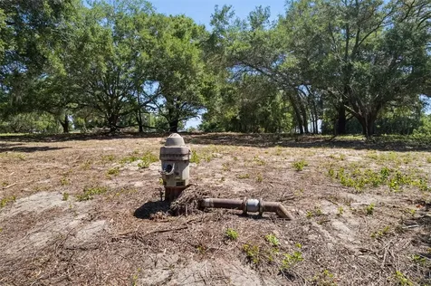 0000 Bertsville & Griffin View Road Lady Lake FL 32159