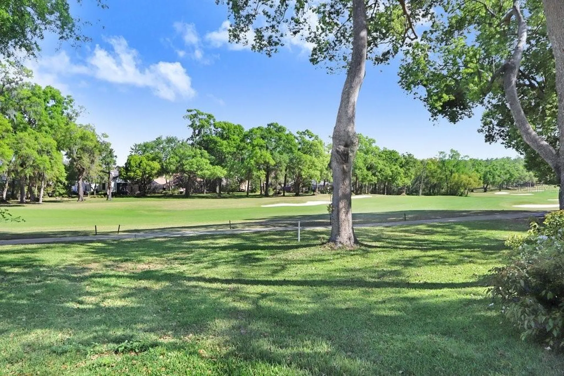 12442 Forest Highlands Dade City FL 33525