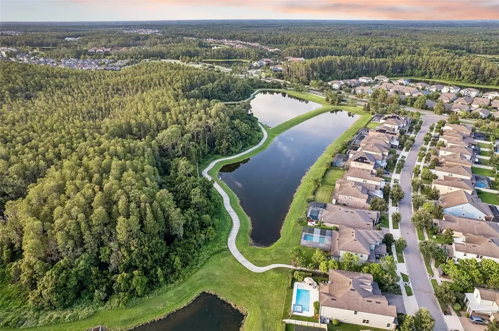 4473 Tatum Loop Odessa FL 33556