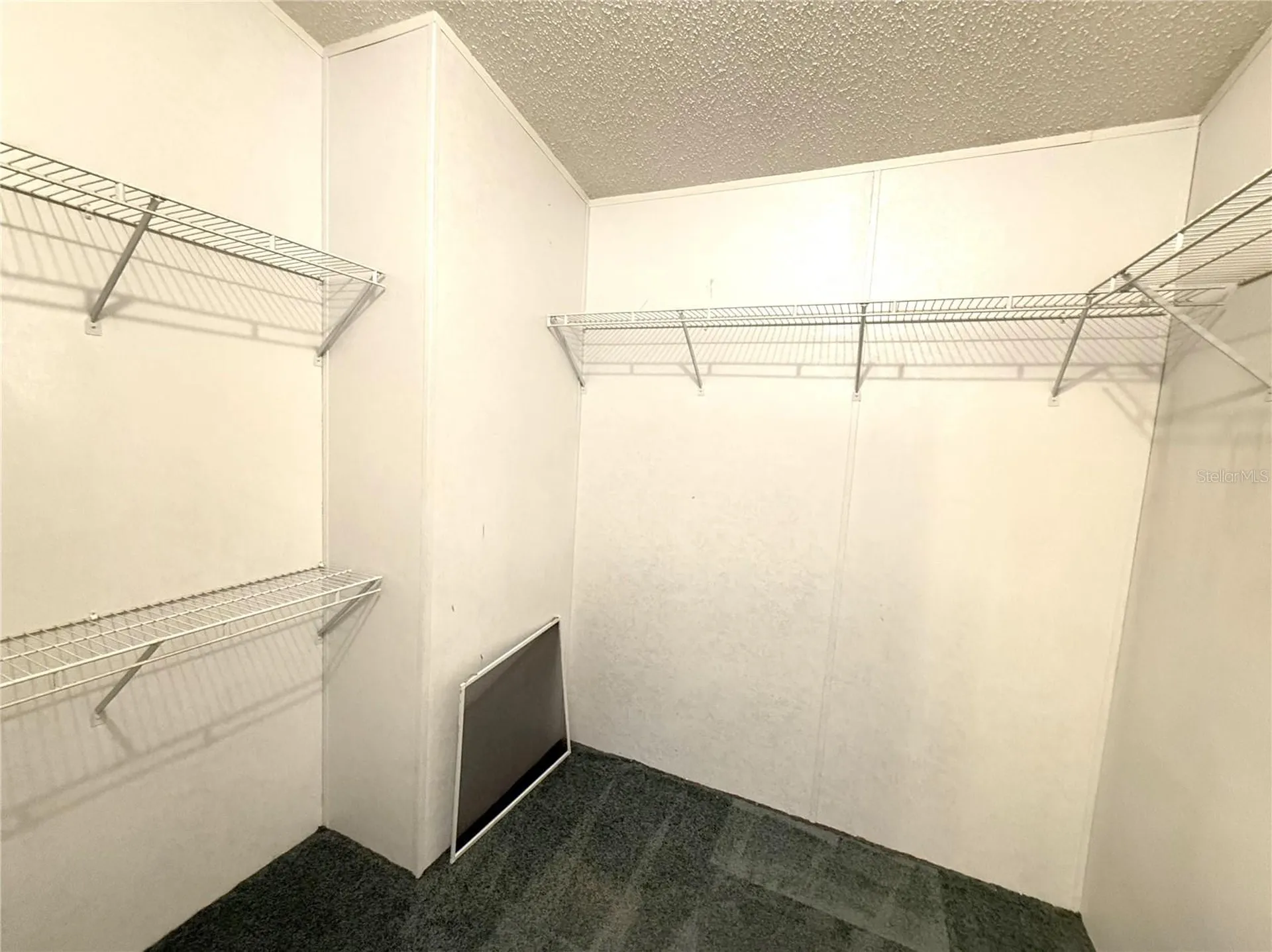 2951 SE 134th Terrace Morriston FL 32668