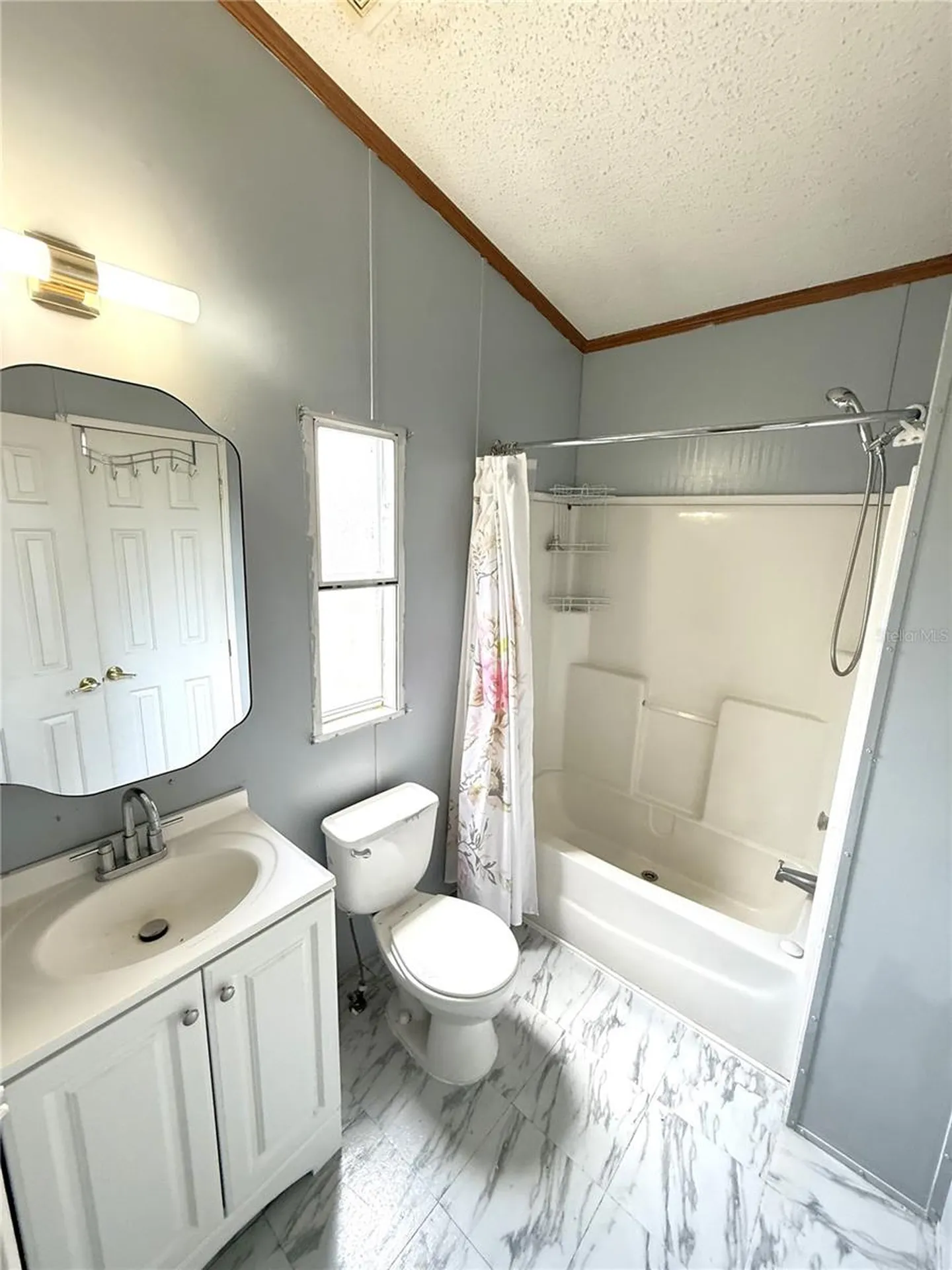 2951 SE 134th Terrace Morriston FL 32668