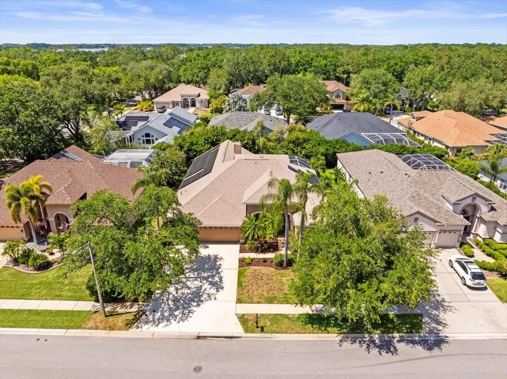 5216 Kernwood Court Palm Harbor FL 34685