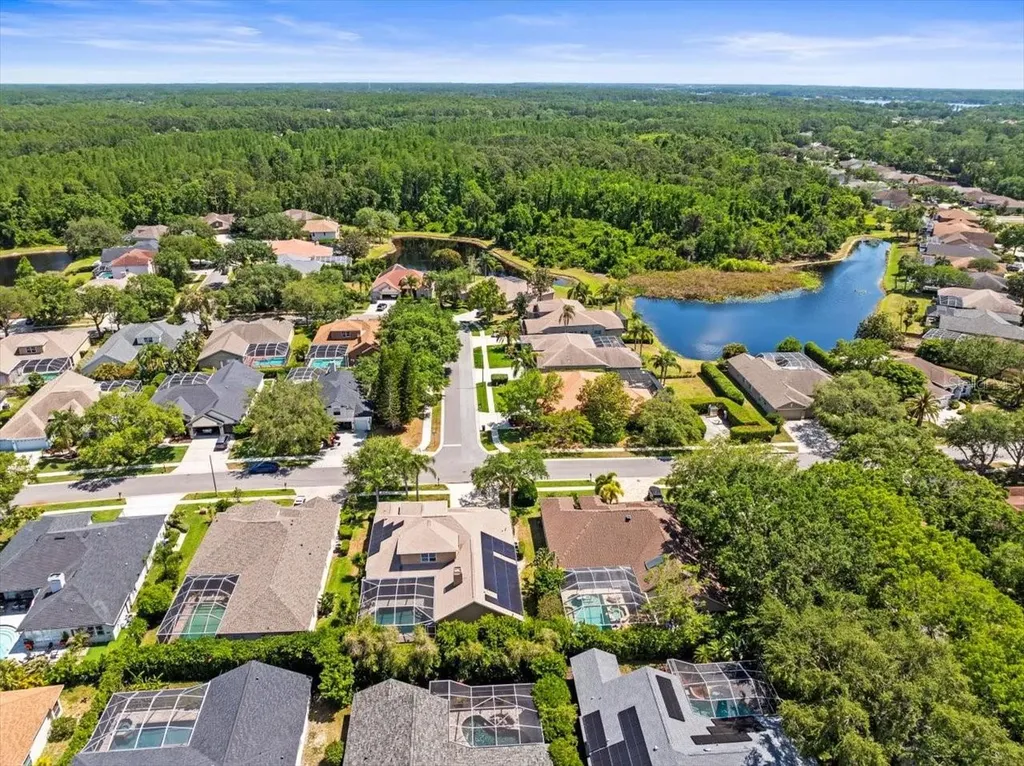 5216 Kernwood Court Palm Harbor FL 34685