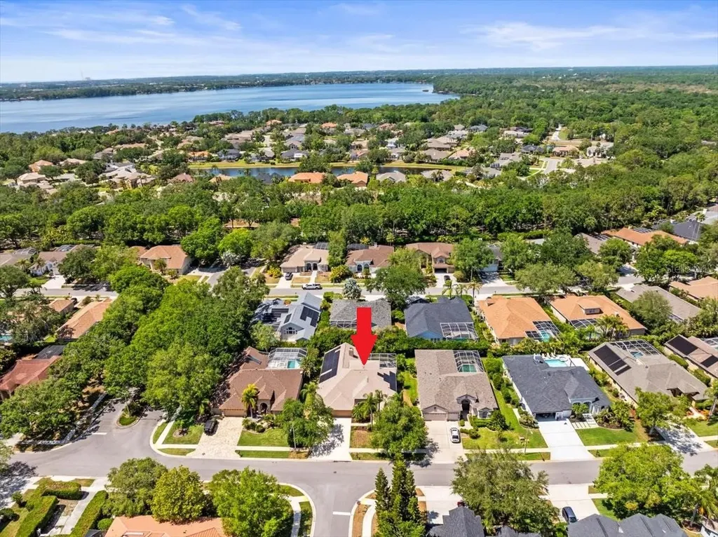 5216 Kernwood Court Palm Harbor FL 34685