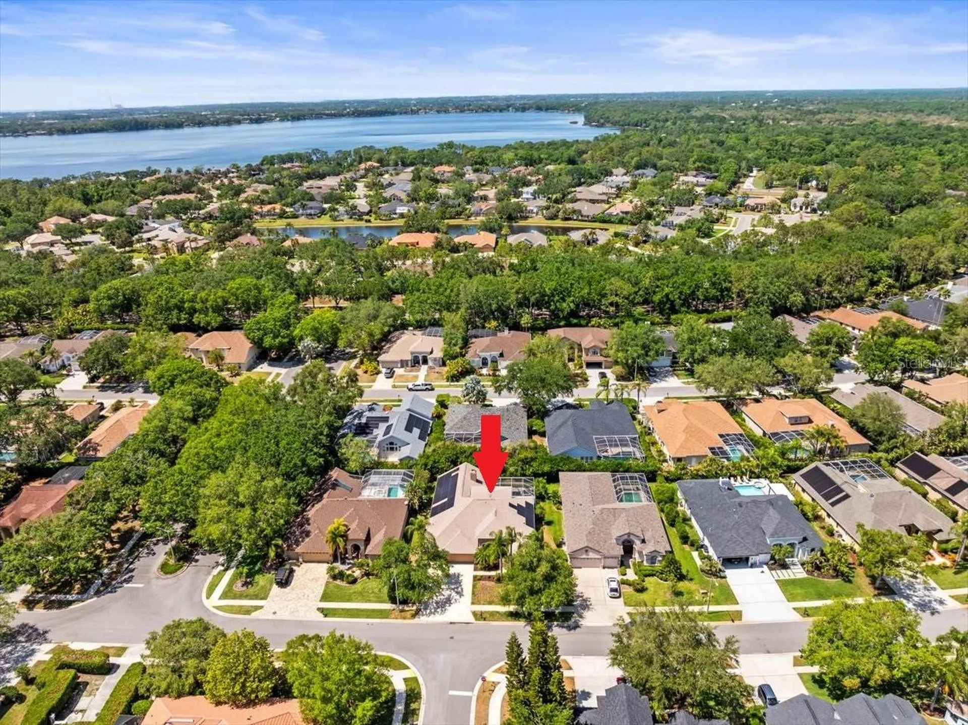 5216 Kernwood Court Palm Harbor FL 34685