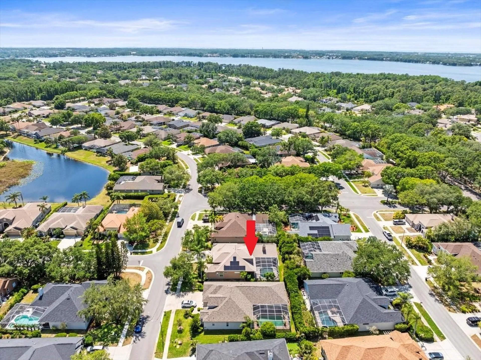 5216 Kernwood Court Palm Harbor FL 34685