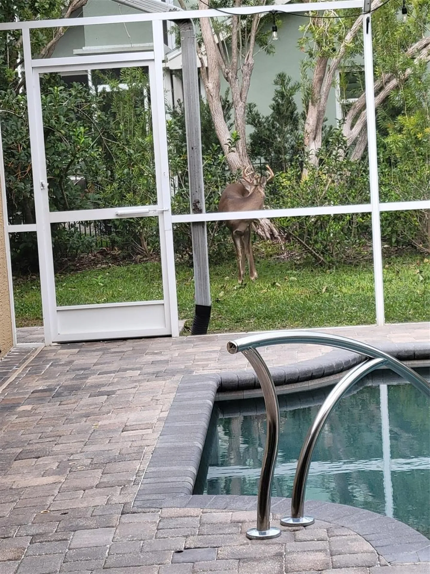 5216 Kernwood Court Palm Harbor FL 34685