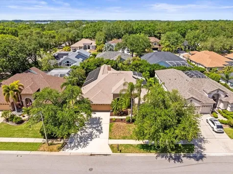 5216 Kernwood Court Palm Harbor FL 34685