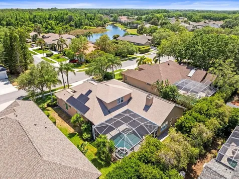 5216 Kernwood Court Palm Harbor FL 34685