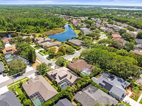 5216 Kernwood Court Palm Harbor FL 34685