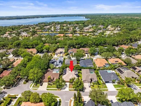 5216 Kernwood Court Palm Harbor FL 34685