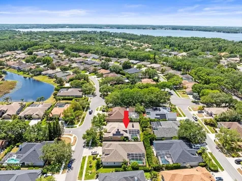 5216 Kernwood Court Palm Harbor FL 34685