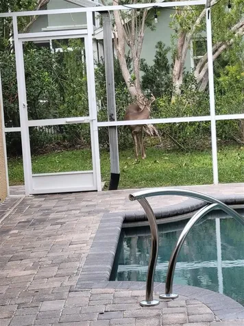 5216 Kernwood Court Palm Harbor FL 34685