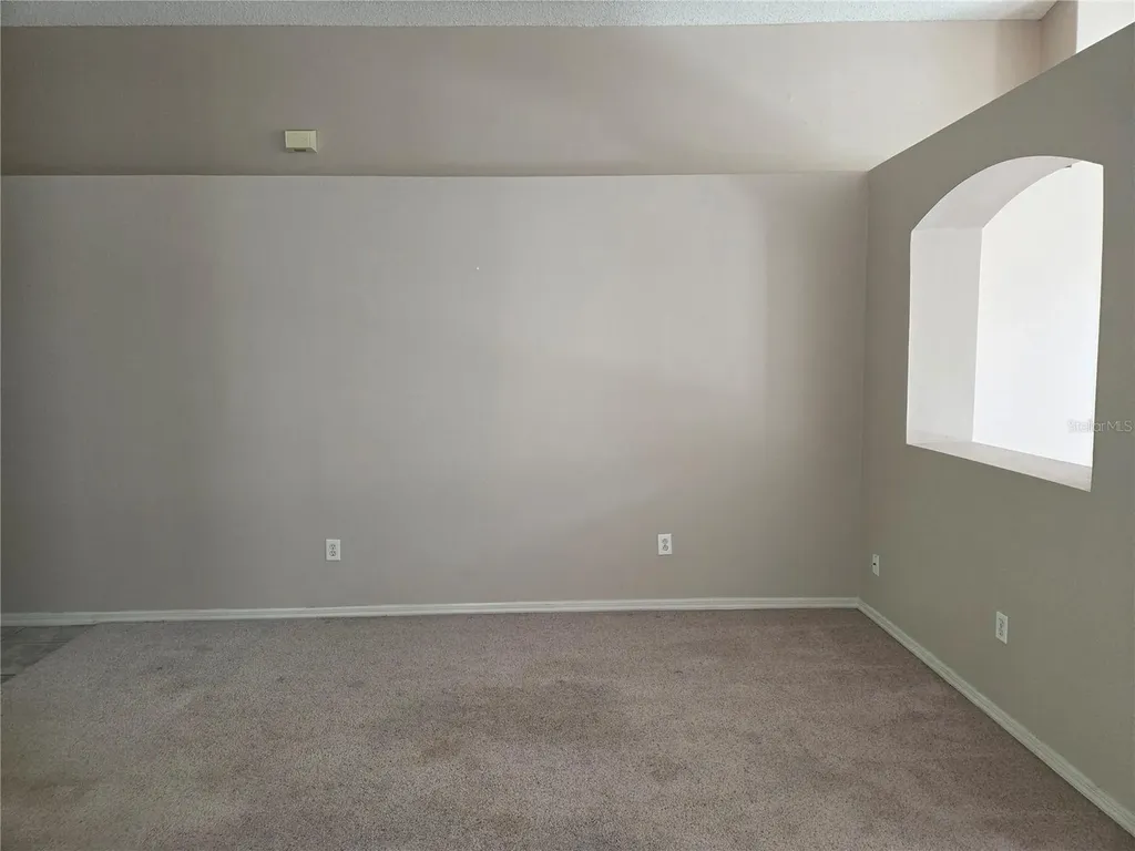 13523 White Elk Loop Tampa FL 33626