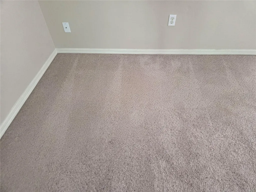 13523 White Elk Loop Tampa FL 33626