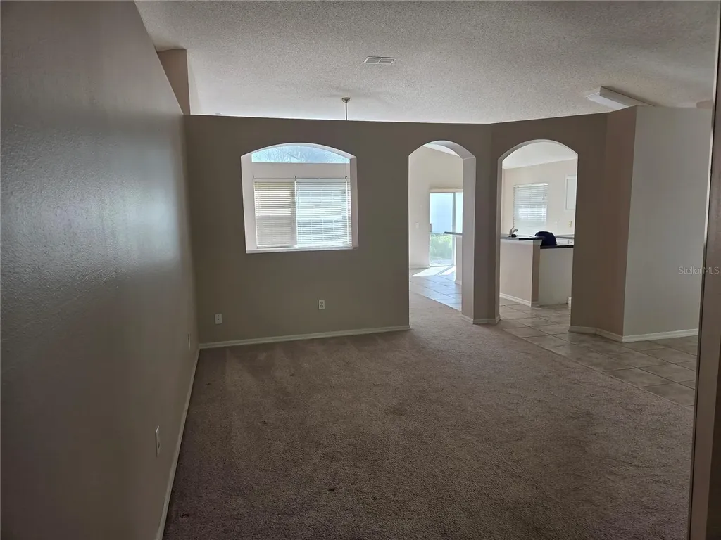 13523 White Elk Loop Tampa FL 33626