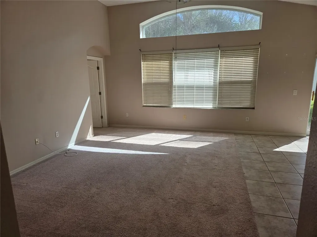 13523 White Elk Loop Tampa FL 33626
