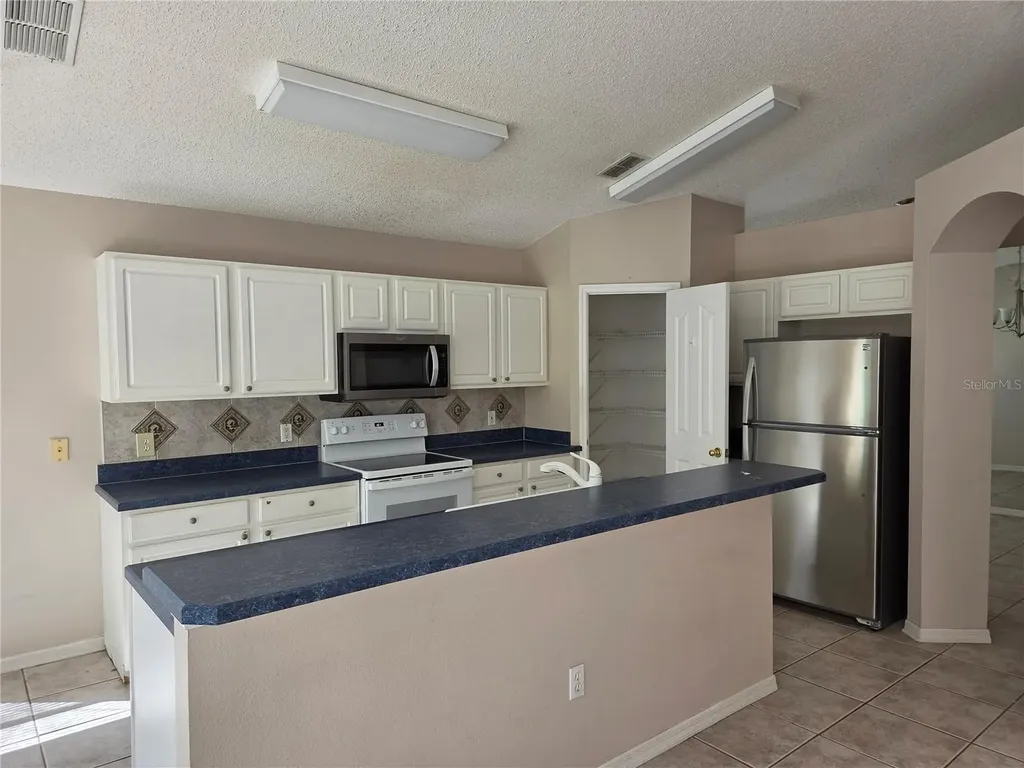13523 White Elk Loop Tampa FL 33626