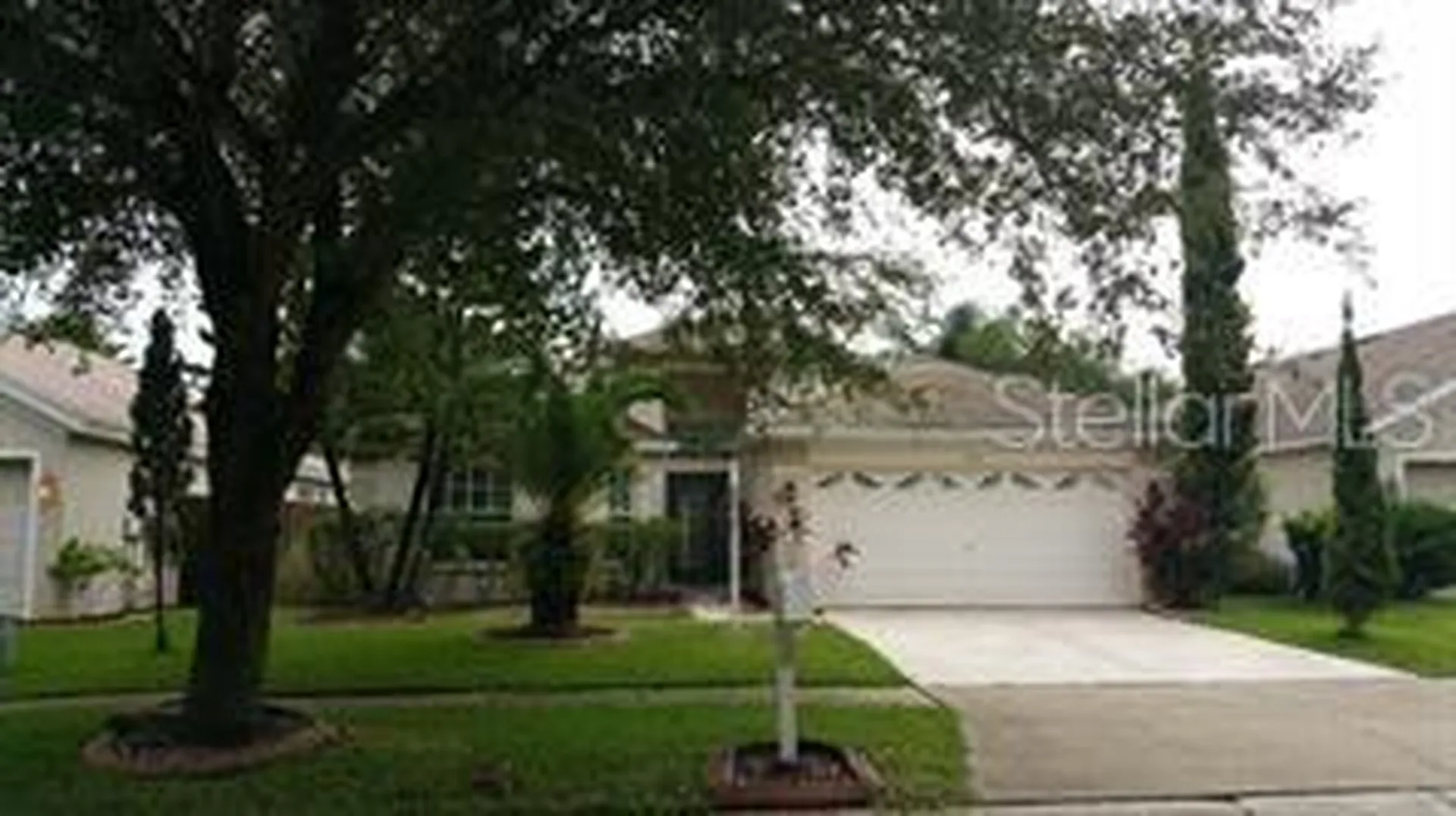 13523 White Elk Loop Tampa FL 33626