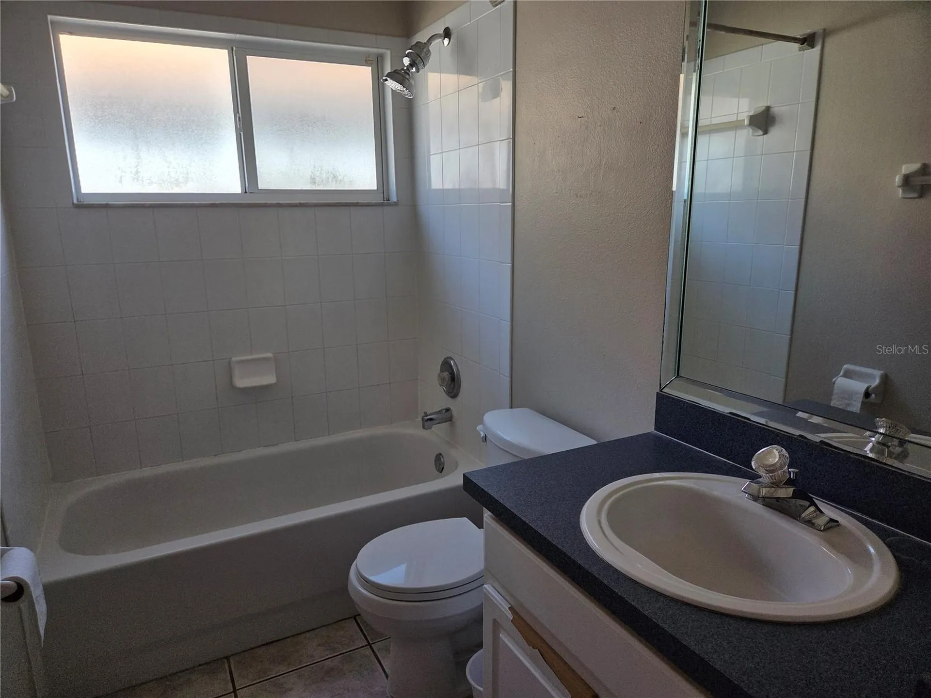 13523 White Elk Loop Tampa FL 33626