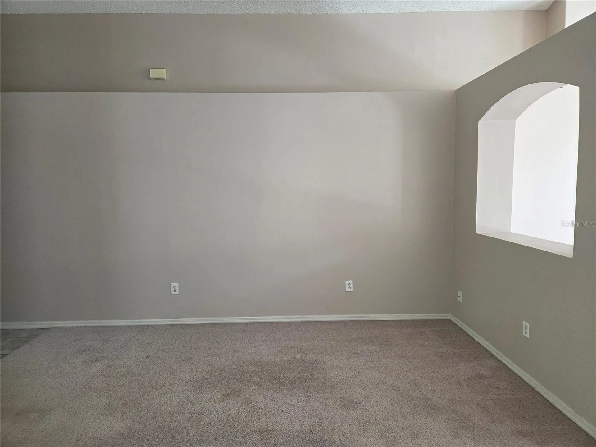 13523 White Elk Loop Tampa FL 33626