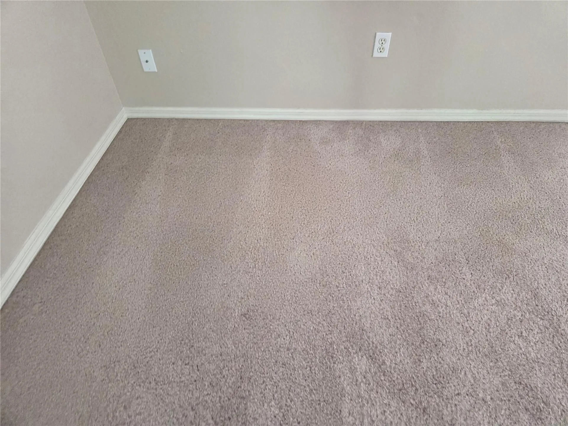 13523 White Elk Loop Tampa FL 33626