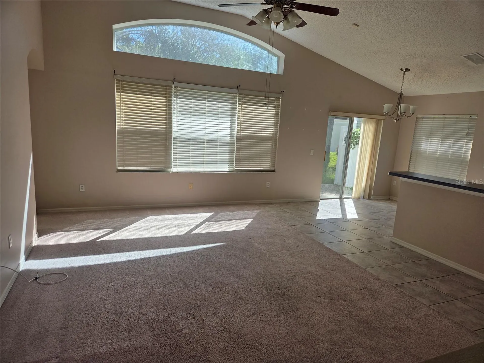 13523 White Elk Loop Tampa FL 33626