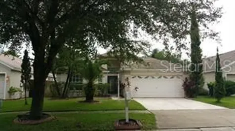 13523 White Elk Loop Tampa FL 33626