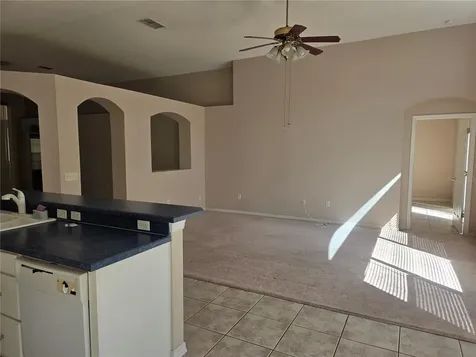 13523 White Elk Loop Tampa FL 33626