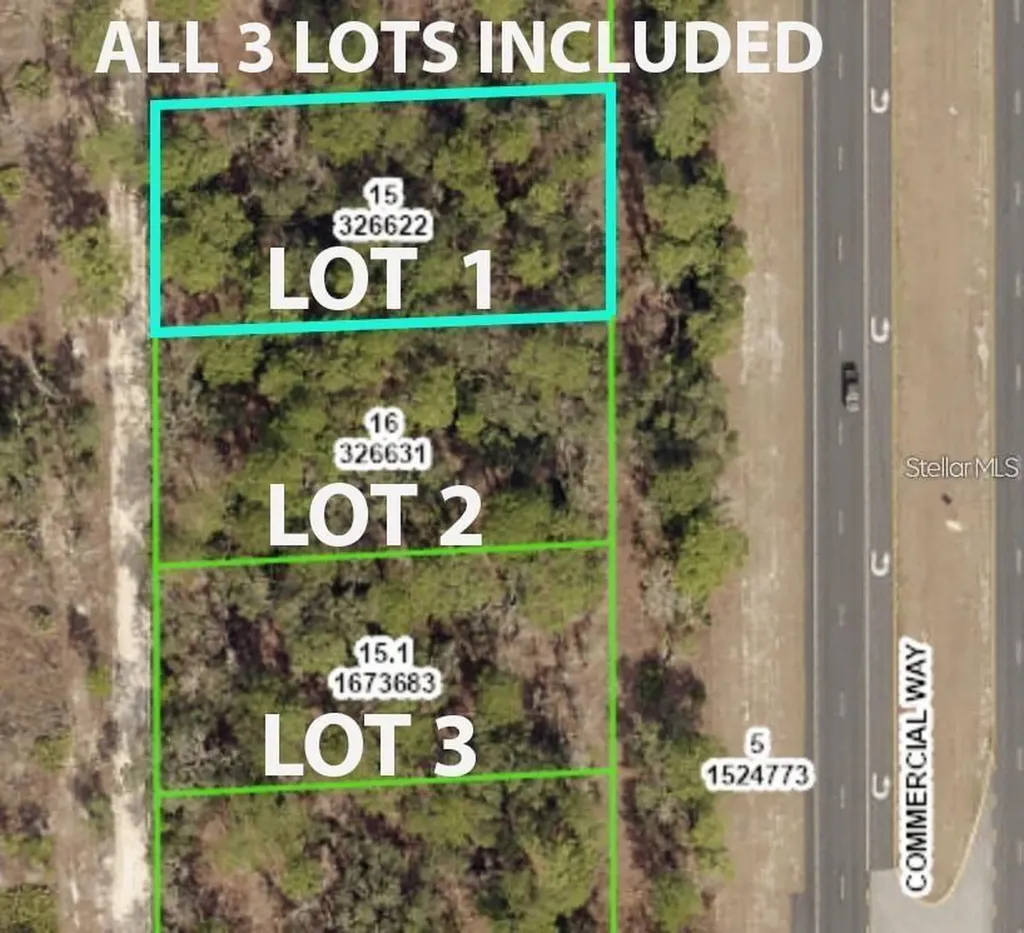 Commercial Way Weeki Wachee FL 34614